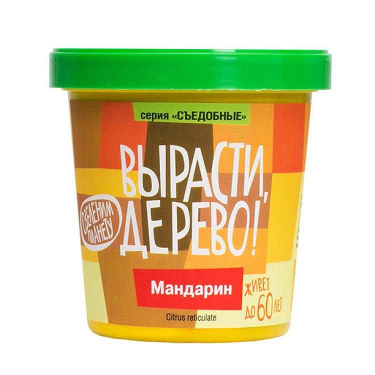 Мандарин  (сувенирный семенной материал)